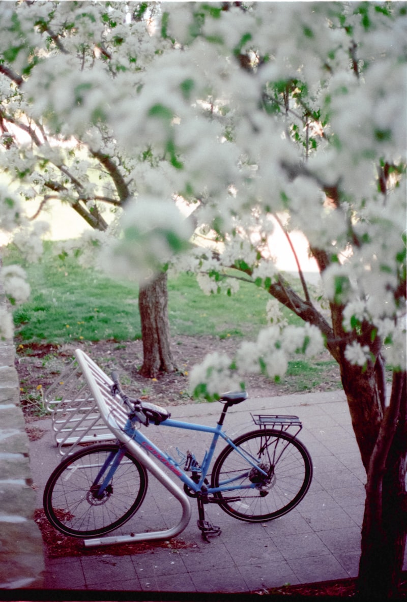 Velo Frühlingscheck: Was du nach dem Winter prüfen solltest – VeloQuick Blog Zürich